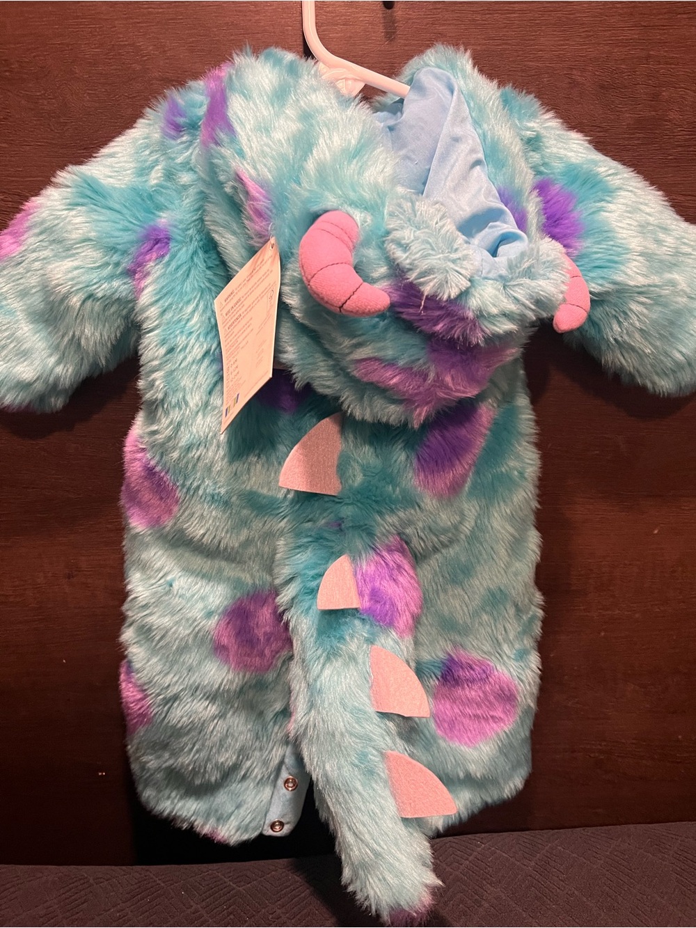 Pottery Barn Sulley Costume